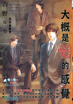 大概是愛的感覺