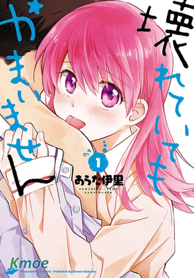 把我玩壞也沒關系