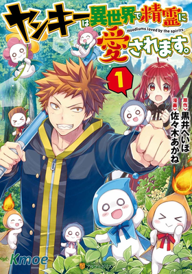 精靈所愛的異世界不良少年。