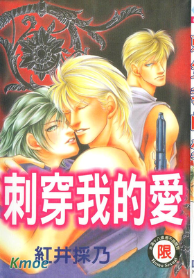 刺穿我的愛