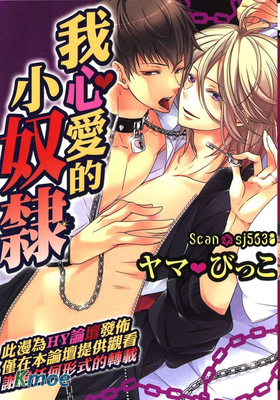 我心愛的小奴隸