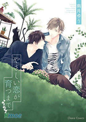 溫柔戀情的培育過程