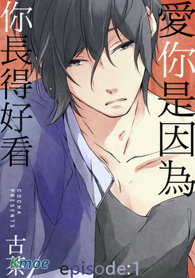 愛你是因為你長得好看