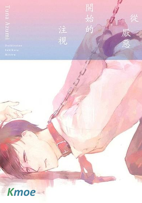 從厭惡開始的注視