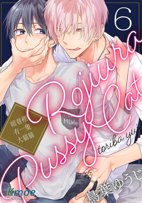 暗巷裡有一隻大貓貓