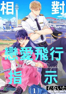 相對戀愛飛行指示