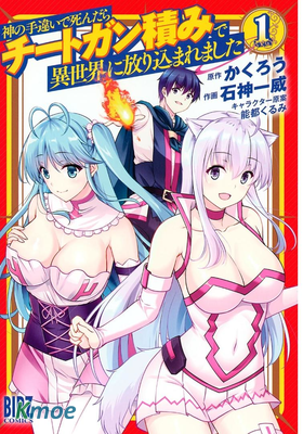 神の手違いで死んだらチートガン積みで異世界に放り込まれました