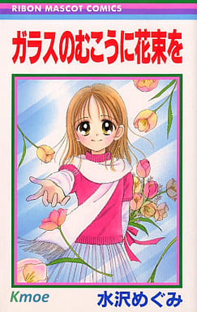 玻璃那端的花束