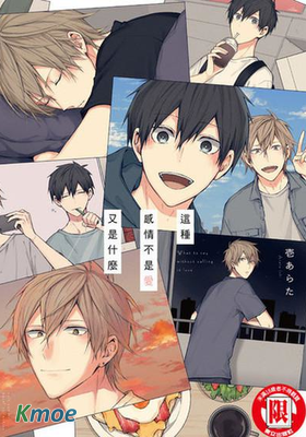 這種感情不是愛又是什麼