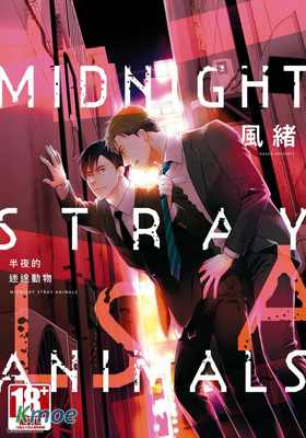 半夜的迷途動物