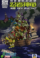忍者神龜新冒險