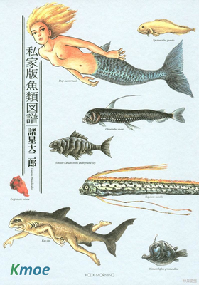 私家版魚類圖譜
