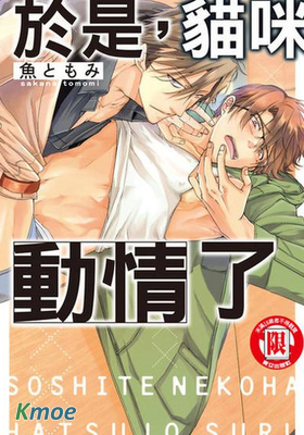 於是，貓咪動情了
