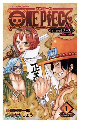 海賊王艾斯小說系列