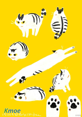 和貓在一起生活的日記