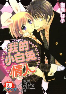 我的小白兔情人