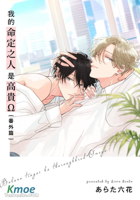 我的命定之人是高貴Ω-番外篇-