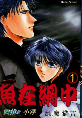 魚在網中