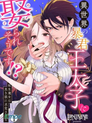 暴君王太子一婚成癮