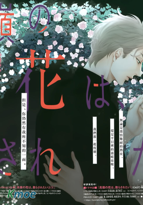 高嶺之花、意亂情迷