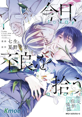 今天我撿到了一個不良少年