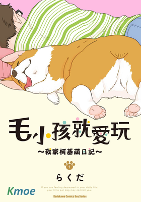 毛小孩就愛玩～我家柯基萌日記～