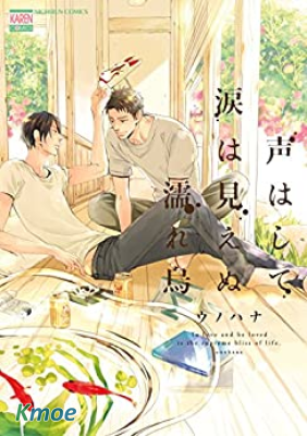 只聞其聲不見其淚的雨儒之鴉