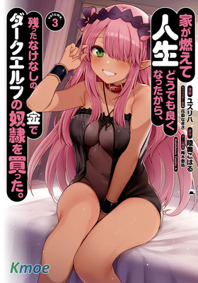 因為家被燒了而自暴自棄的我、用僅剩的錢買了一個黑暗精靈奴隸。