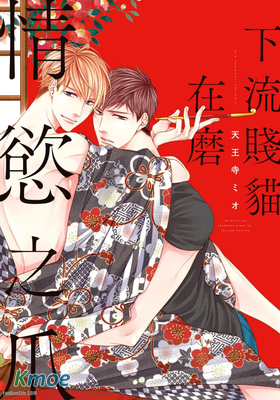 下流賤貓鬥不過好奇心(系列合集)