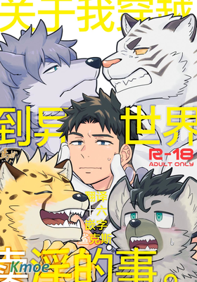 關於我穿越到異世界賣淫的事。