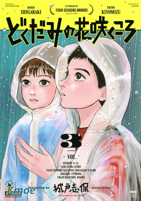 魚腥草花盛放時