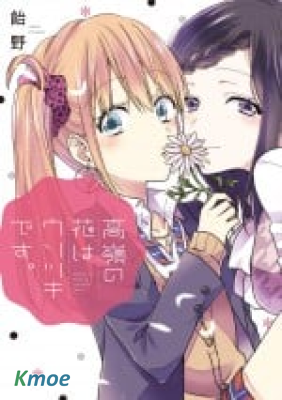 高嶺之花在說謊