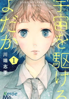 翱翔於天際的夜鷹