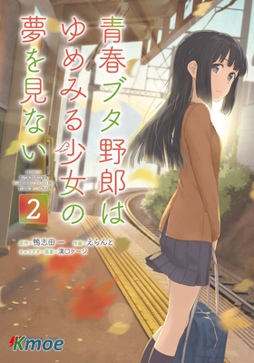 青春笨蛋少年不做懷夢美少女的夢