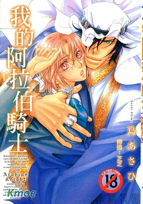 我的阿拉伯騎士