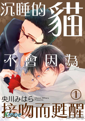 沉睡的貓不會因為接吻而甦醒