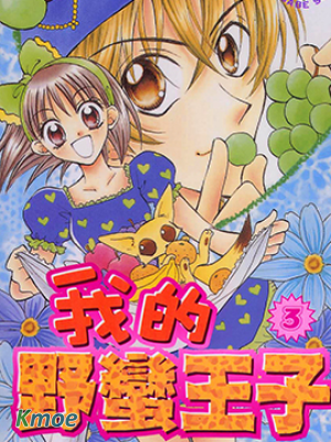 我的野蠻王子
