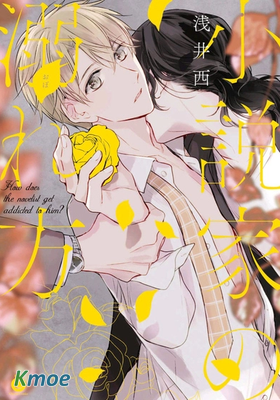 小說家的沉溺法