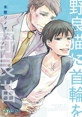 給野貓套上項圈