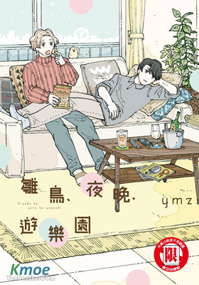 雛鳥、夜晚、遊樂園