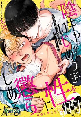 陰角用性方式教訓霸淩者的本子