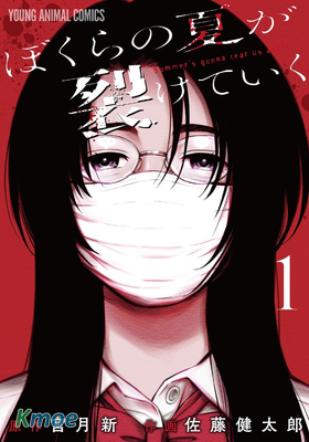 我們被撕裂的夏天