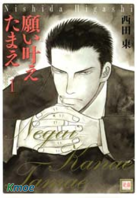 就在如願以償前