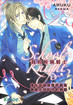 我的校園騎士