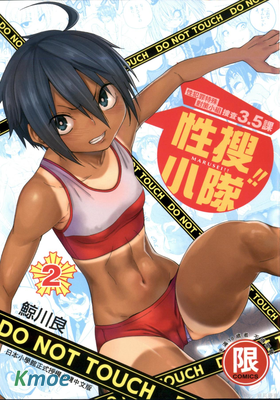 性犯罪特殊對策小組 搜查3.5課