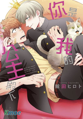 你是我的公主殿下