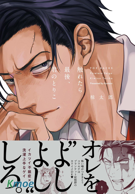 觸れたら最後、君のとりこ