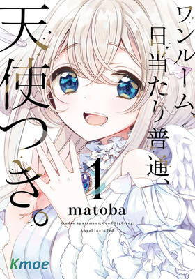 ワンルーム、日當たり普通、天使つき。